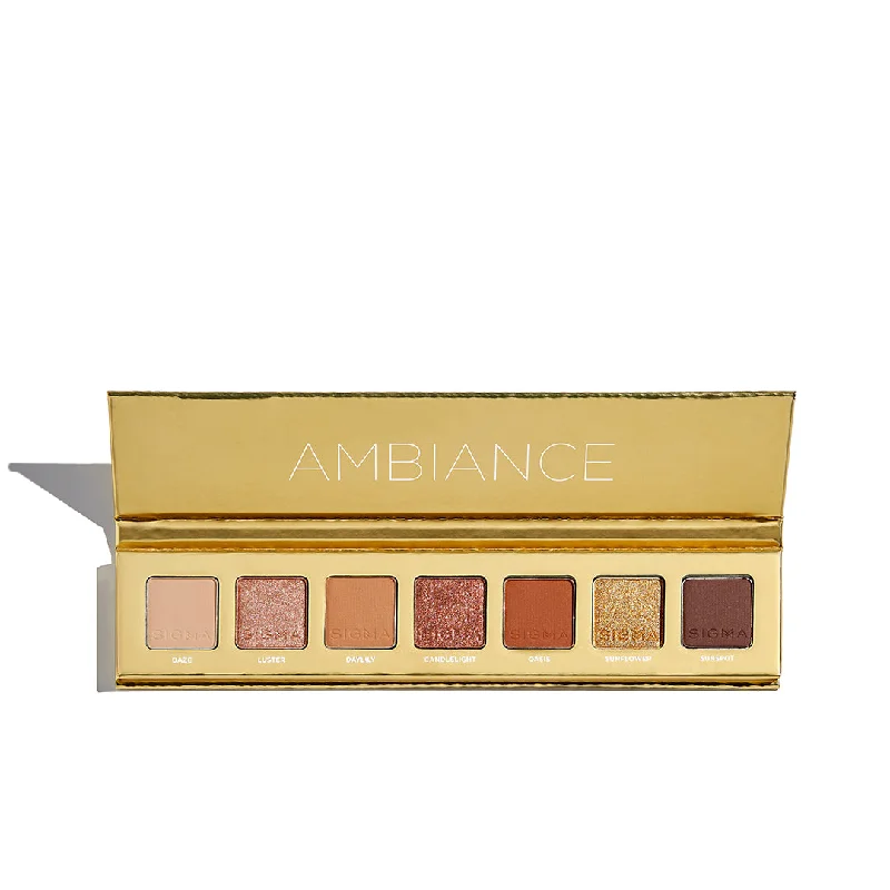 Eye shadow for special glamour palette-AMBIANCE MINI EYESHADOW PALETTE